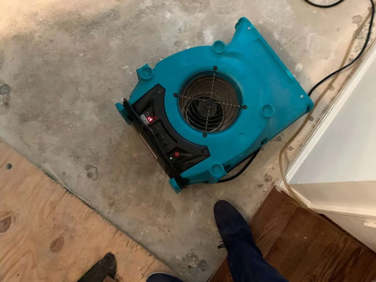 Air mover drying subfloor during Leak Detection & Repair in Fox Chapel